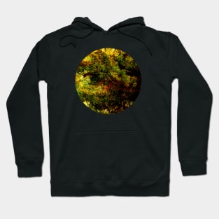 Ourselfsake (abstract digital painting) Hoodie